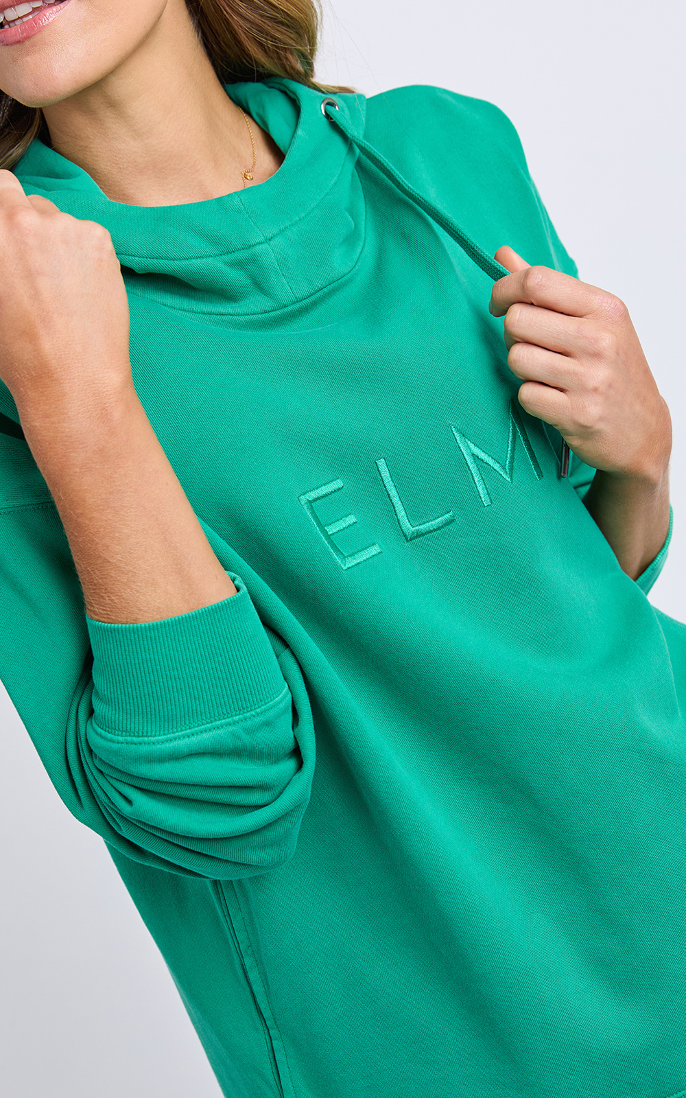 Established Hoodie product photo.