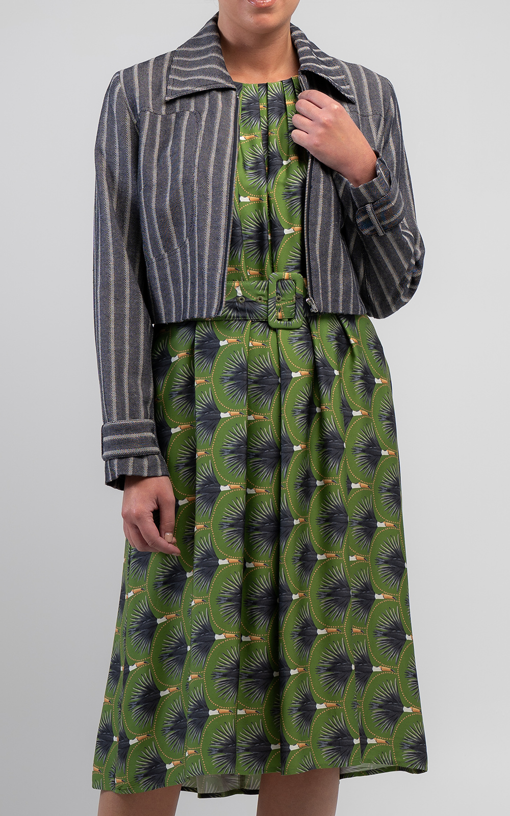 Toucan Pleated Dress product photo.