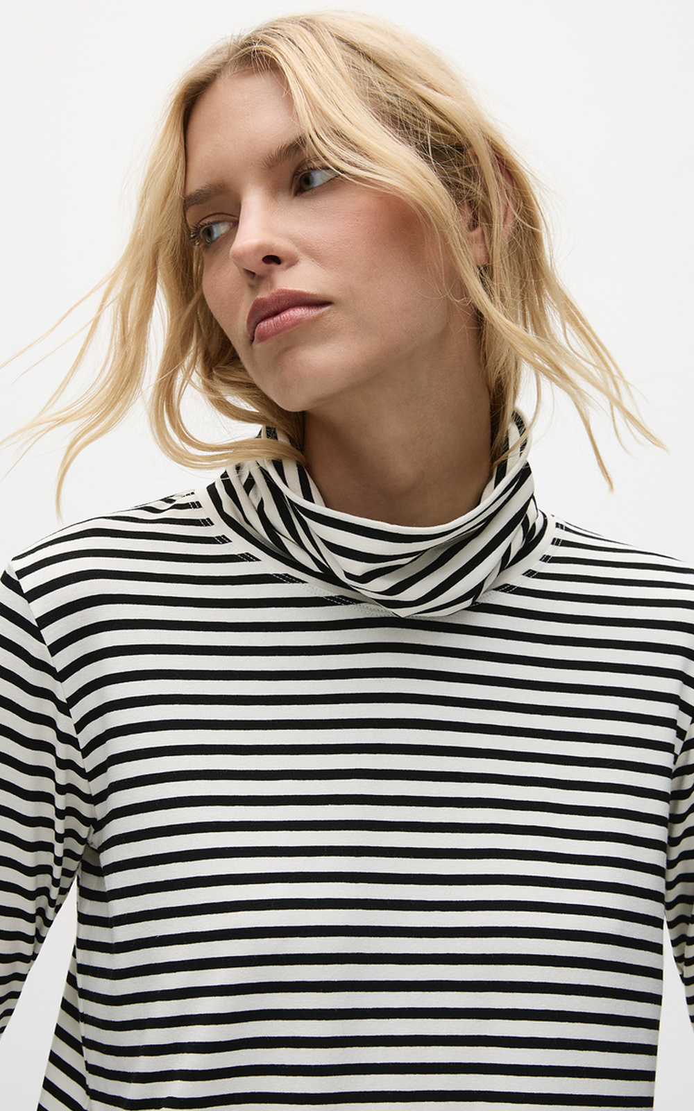 Turtle Neck Top product photo.