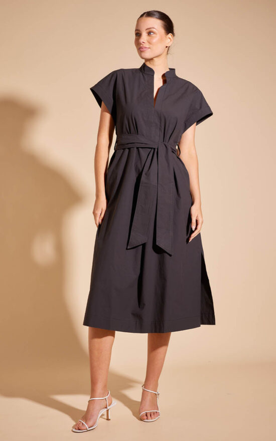 Aviva Dress product photo.
