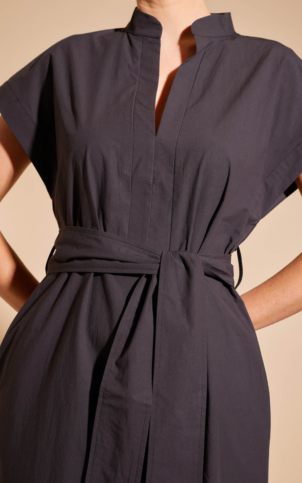 Aviva Dress Black - Tart Collections