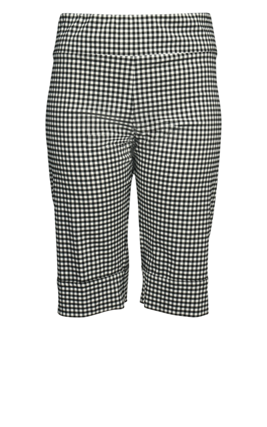 Long Gingham Short product photo.
