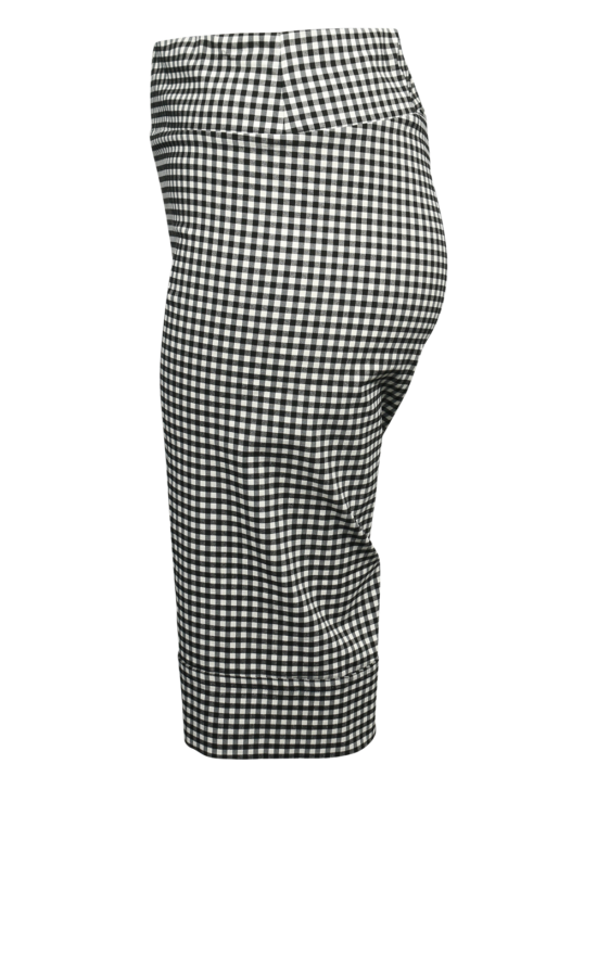 Long Gingham Short product photo.