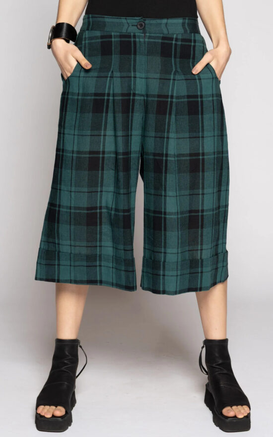 Arya Shorts product photo.