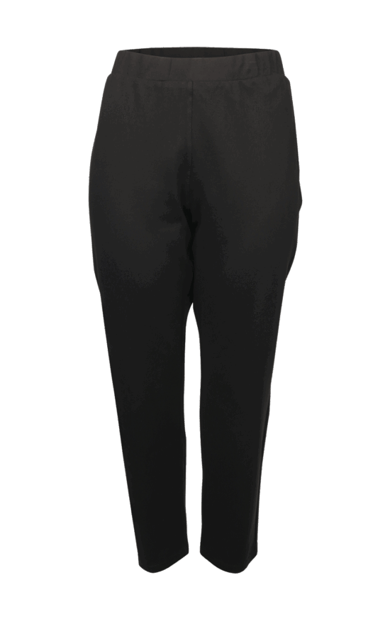 F/L Pull On Ponte Pant product photo.